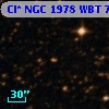 Cl* NGC 1978    WBT    7049
