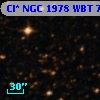 Cl* NGC 1978    WBT    7050