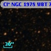 Cl* NGC 1978    WBT    7082