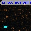 Cl* NGC 1978    WBT    7102