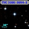 TYC 3166-1684-1
