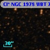 Cl* NGC 1978    WBT    7109