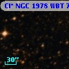 Cl* NGC 1978    WBT    7131
