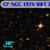 Cl* NGC 1978    WBT    7132