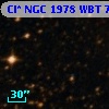 Cl* NGC 1978    WBT    7133