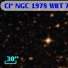 Cl* NGC 1978    WBT    7137