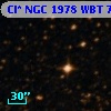 Cl* NGC 1978    WBT    7142
