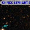 Cl* NGC 1978    WBT    7176