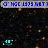 Cl* NGC 1978    WBT    7177