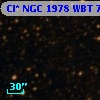 Cl* NGC 1978    WBT    7183