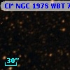 Cl* NGC 1978    WBT    7186
