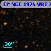 Cl* NGC 1978    WBT    7195