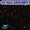 Cl* NGC 1978    WBT    7199