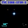 TYC 3166-1710-1