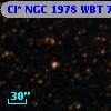 Cl* NGC 1978    WBT    7213