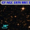 Cl* NGC 1978    WBT    7224