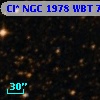 Cl* NGC 1978    WBT    7229