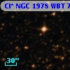 Cl* NGC 1978    WBT    7241