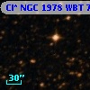 Cl* NGC 1978    WBT    7242