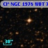 Cl* NGC 1978    WBT    7243