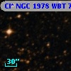 Cl* NGC 1978    WBT    7248