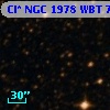 Cl* NGC 1978    WBT    7298