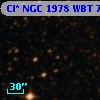 Cl* NGC 1978    WBT    7299