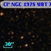 Cl* NGC 1978    WBT    7310