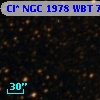 Cl* NGC 1978    WBT    7322