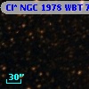 Cl* NGC 1978    WBT    7325