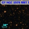 Cl* NGC 1978    WBT    7326