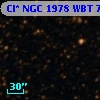 Cl* NGC 1978    WBT    7329