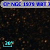 Cl* NGC 1978    WBT    7331