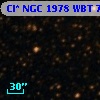 Cl* NGC 1978    WBT    7341
