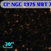 Cl* NGC 1978    WBT    7344