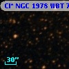 Cl* NGC 1978    WBT    7346