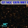 Cl* NGC 1978    WBT    7348