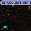Cl* NGC 1978    WBT    7356