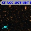Cl* NGC 1978    WBT    7368