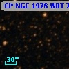 Cl* NGC 1978    WBT    7369
