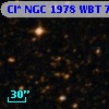 Cl* NGC 1978    WBT    7376
