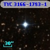 TYC 3166-1783-1