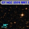 Cl* NGC 1978    WBT    7407