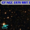 Cl* NGC 1978    WBT    7438