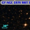 Cl* NGC 1978    WBT    7439