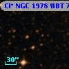 Cl* NGC 1978    WBT    7445