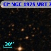 Cl* NGC 1978    WBT    7449