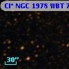 Cl* NGC 1978    WBT    7463