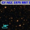 Cl* NGC 1978    WBT    7464