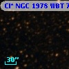 Cl* NGC 1978    WBT    7471